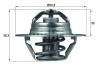 BEHR A00882 Thermostat, coolant