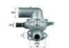 BEHR TI13580D Thermostat, coolant