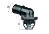BEHR H04789 Thermostat, coolant