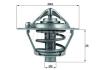 BEHR TX10882D Thermostat, coolant