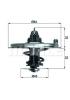BEHR 239671346 Thermostat, coolant
