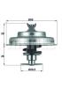 BEHR 612480311 Thermostat, coolant