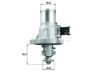 BEHR TM41105 Thermostat, coolant