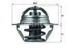 BEHR H04289 Thermostat, coolant