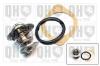 QUINTON HAZELL QTH316K Thermostat, coolant