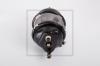 PE Automotive 076.448-00A (07644800A) Spring-loaded Cylinder