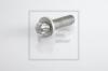 PE Automotive 296.002-00A (29600200A) Bolt, brake disc