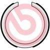 BREMBO S49523 Brake Shoe Set, parking brake