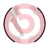 BREMBO S85542 Brake Shoe Set