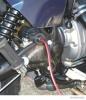 HERTH+BUSS ELPARTS 51305635 Plug