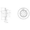 DELPHI BG2109 Brake Disc