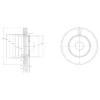 DELPHI BG2419 Brake Disc