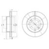 DELPHI BG2891 Brake Disc