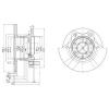 DELPHI BG302 Brake Disc