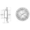 DELPHI BG3828 Brake Disc
