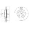 DELPHI BG3928 Brake Disc