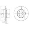 DELPHI BG3989 Brake Disc