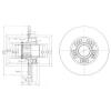 DELPHI BG9031RS Brake Disc