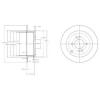 DELPHI BG4097 Brake Disc