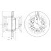 DELPHI BG4134 Brake Disc