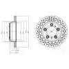DELPHI BG4302 Brake Disc