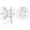DELPHI BG9453 Brake Disc