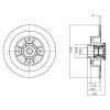 DELPHI BG9028RS Brake Disc