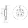 DELPHI BG9079 Brake Disc