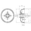 DELPHI BF293 Brake Drum