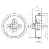 DELPHI BF310 Brake Drum