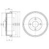 DELPHI BF314 Brake Drum