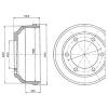 DELPHI BF317 Brake Drum