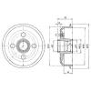 DELPHI BF329 Brake Drum