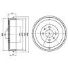 DELPHI BF379 Brake Drum