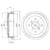 DELPHI BF383 Brake Drum
