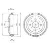 DELPHI BF389 Brake Drum