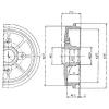 DELPHI BF392 Brake Drum