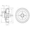 DELPHI BF402 Brake Drum