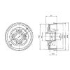 DELPHI BF426 Brake Drum