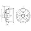 DELPHI BF487 Brake Drum