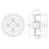 DELPHI BF496 Brake Drum