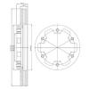 DELPHI BG3422 Brake Disc