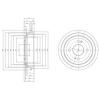 DELPHI BF516 Brake Drum