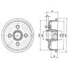 DELPHI BF229 Brake Drum