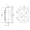 DELPHI BF273 Brake Drum