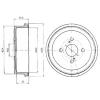 DELPHI BF278 Brake Drum