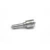 DELPHI L017PBB Injector Nozzle