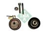 INA 530041909 Pulley Kit, timing belt