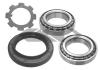 SPIDAN 26788 Wheel Bearing Kit