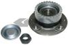 SPIDAN 26933 Wheel Bearing Kit